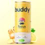 BUDDY - BOISSON FOCUS PETILLANTE CITRON GINGEMBRE CANETTE 250ML x12 BIO