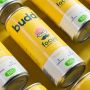 BUDDY - BOISSON FOCUS PETILLANTE CITRON GINGEMBRE CANETTE 250ML x12 BIO