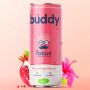 BUDDY - BOISSON FOCUS PETILLANTE GRENADE HIBISCUS CANETTE 250ML x12 BIO