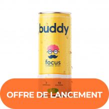 BUDDY - BOISSON FOCUS PETILLANTE CITRON GINGEMBRE CANETTE 250ML x12 BIO