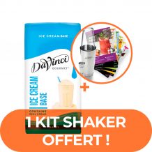 DAVINCI GOURMET - ICE CREAM BASE FRAPPE ET MILKSHAKE BRIQUE 1L x12