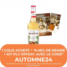 MONIN - SIROP NOISETTE 700ML BOUTEILLE VERRE