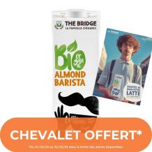 THE BRIDGE - BARISTA BOISSON VEGETALE AMANDE BRIQUE 1L x12 BIO