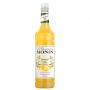 MONIN - CONCENTRE CLOUDY LEMONADE 1L BOUTEILLE PET